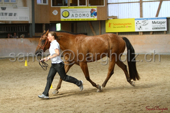 24-ApHC HIH_091.jpg